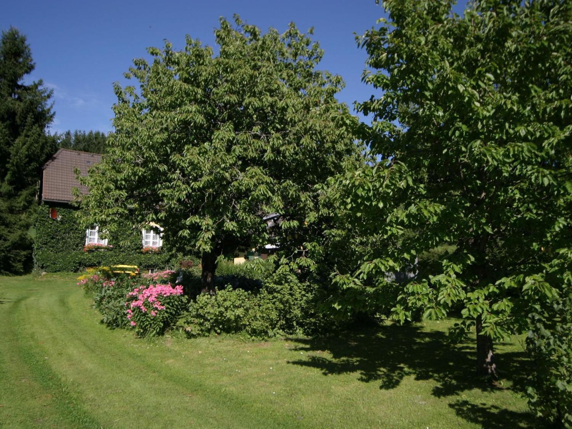 Holiday Home In Scheifling Near Ski Area Exterior foto